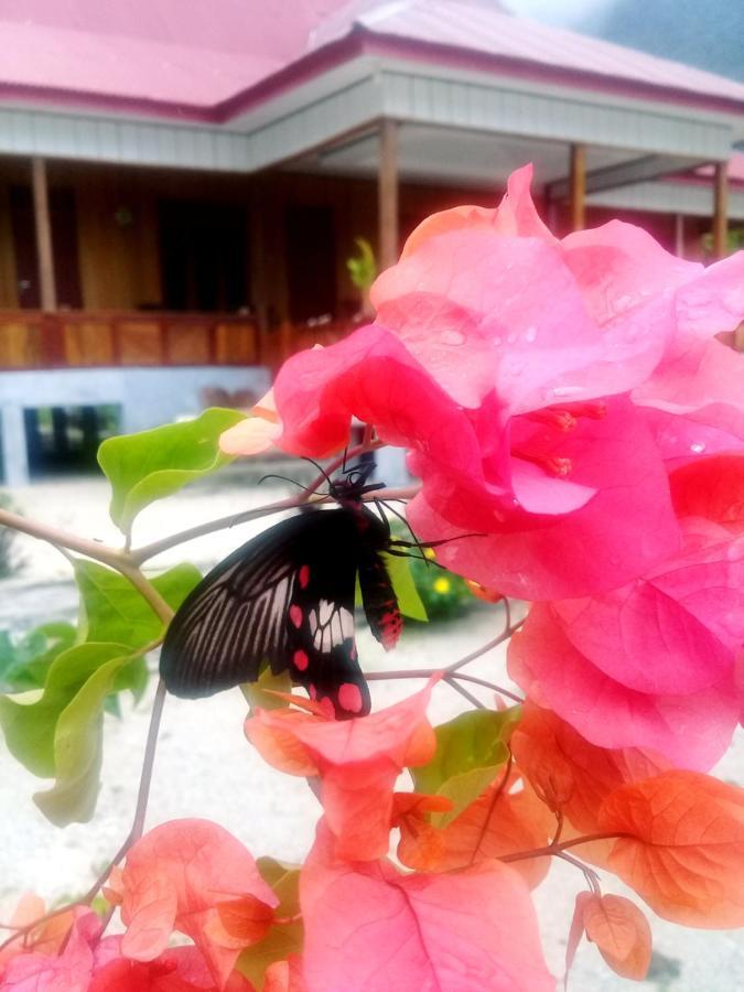 Nusa Nalan Beach Resort Rumah Olat 외부 사진